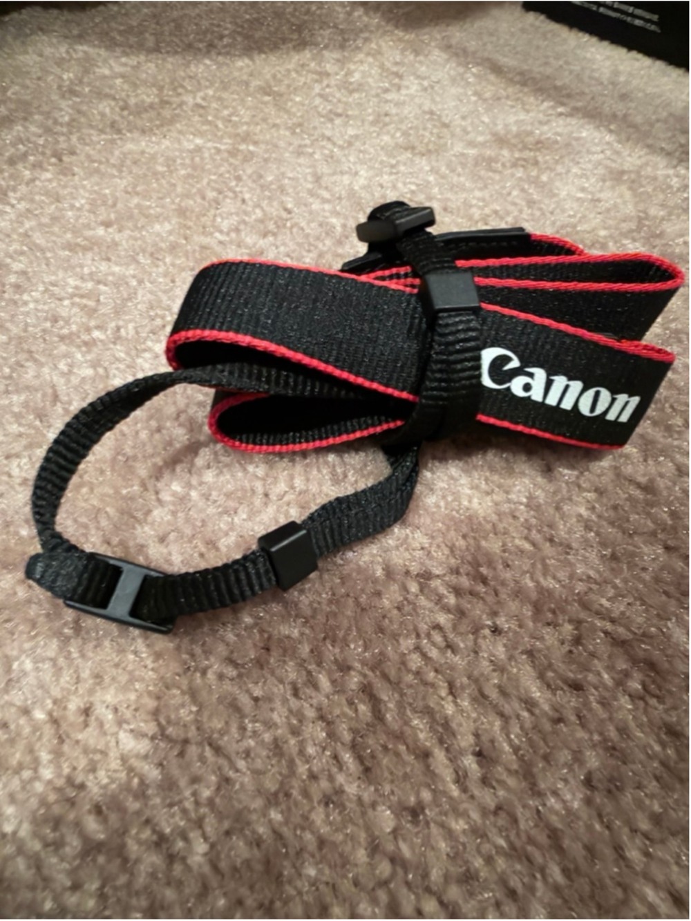 New Canon EOS R100 - Picture 9 of 9